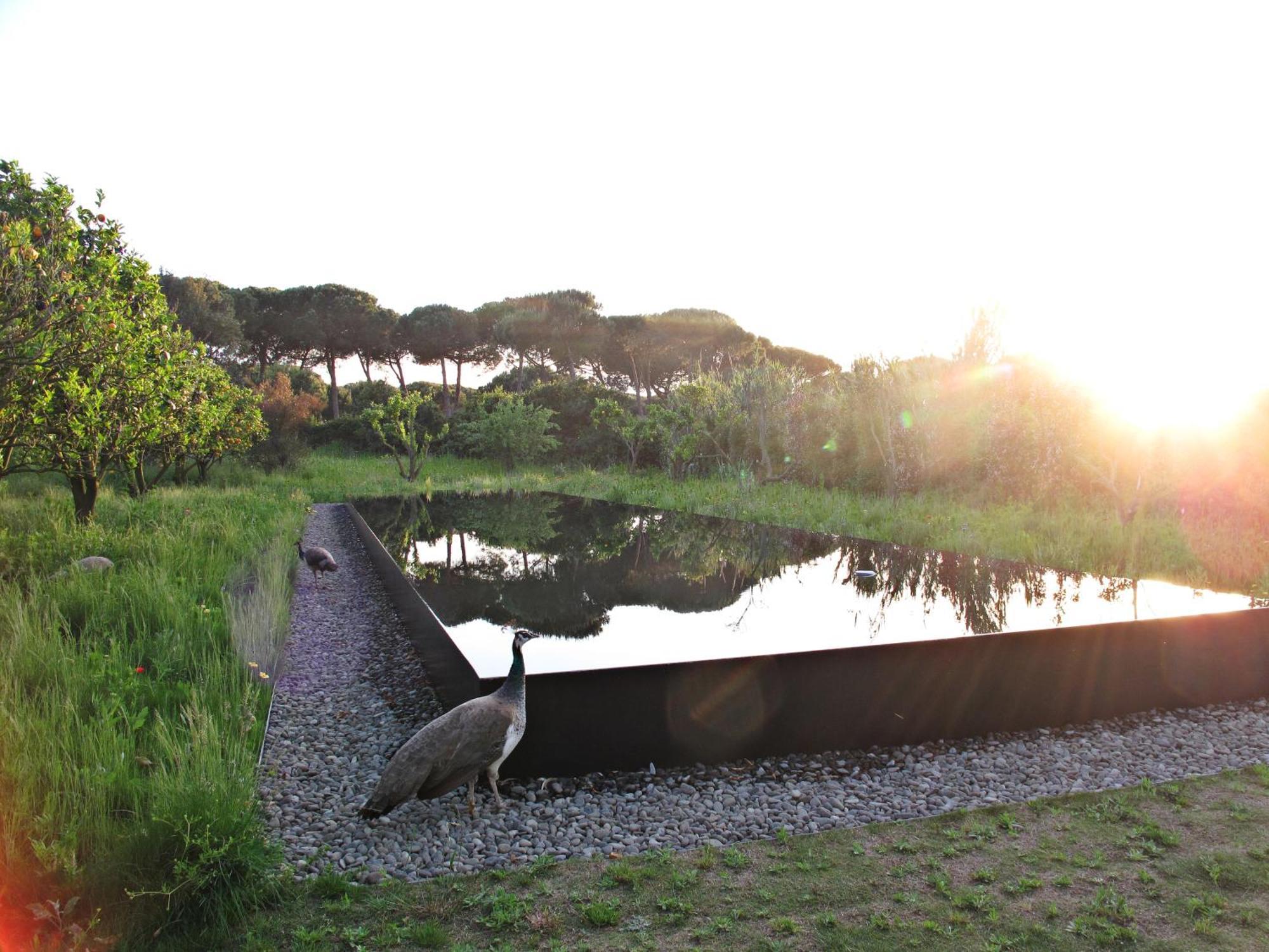 Quinta Do Miguel Villa Aldeia do Meco Luaran gambar