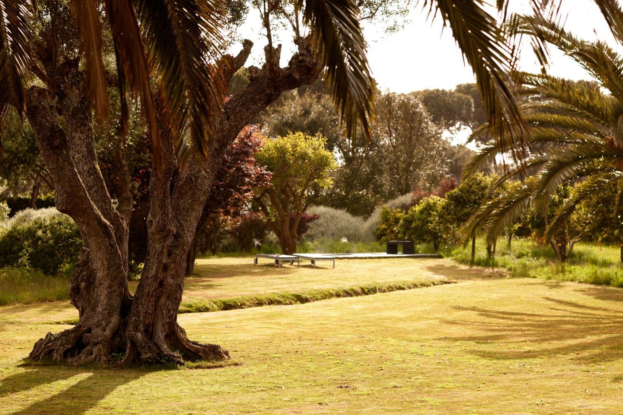 Quinta Do Miguel Villa Aldeia do Meco Luaran gambar